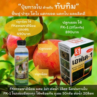 ปุ๋ยสำหรับทับทิม ปุ๋ยน้ำทับทิม ปุ๋ยทับทิม ปุ๋ยฉีดพ่นทับทิม ปลูกเยอะใช้ FK-1 ปลูกน้อยใช้ FKธรรมชาตินิยม