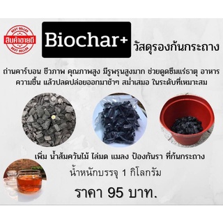 ถ่าน Biochar วัสดุรองก้นกระถาง ถ่านคาร์บอนชีวภาพคุณภาพสูง