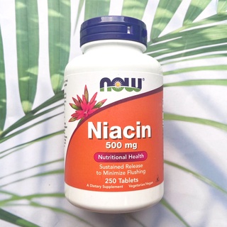 Niacin วิตามินบี 3 ไนอะซิน Niacin 500 mg 250 Tablets (Now Foods) ช่วยบำรุงระบบประสาท และการทำงานของสมอง