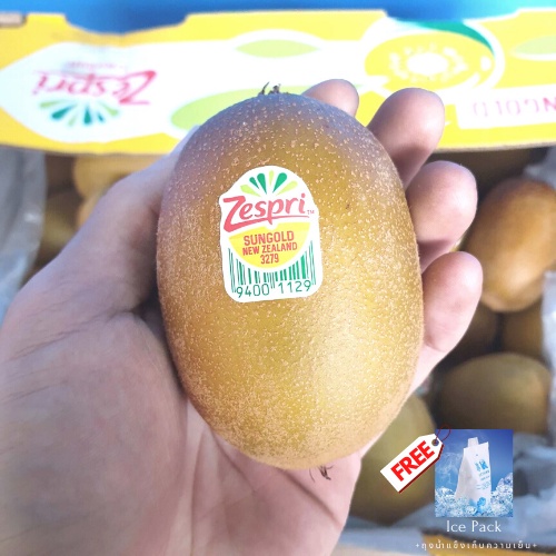 PeachTop1 กีวี่ทอง KIWI Zespri SunGold (1ลูก) (NewZealand) ~ลดพิเศษ~ Premium ผลไม้พรีเมี่ยม กีวีสด ก