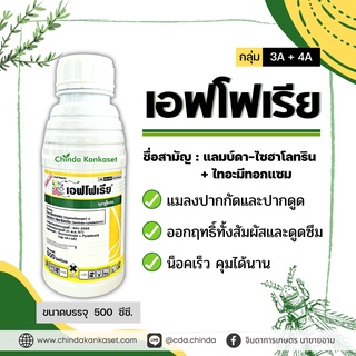 เอฟโฟเรีย ขนาด 500 มิลลิลิตรลิตร