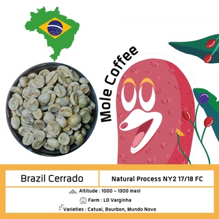 สารกาแฟดิบ บราซิล เซอราโด เกรด เอ เมล็ดใหญ่ Brazil Cerrado Greenbean NY2 17/18 FC  Grade A 300g. 500g. 800g.