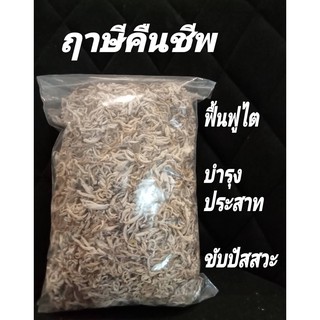 ชาฤาษีคืนชีพ  ฟื้นฟูไต ขับปัสสาวะ บำรุงระบบประสาท 250 กรัม