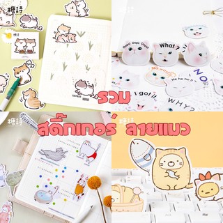 Mo•Card รวมสติ๊กเกอร์ลายแมว 46ชิ้น Catto สติ๊กเกอร์กล่อง เทปวานิช อุปกรณ์ตกแต่ง เครื่องเขียน