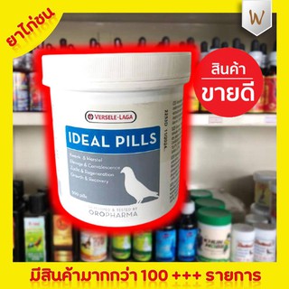 IDEAL PILLS (กระปุกใหญ่ 500 เม็ด) ยาไก่ชน ยาไก่ตี ช่วยเสริมพละกำลัง ช่วยให้บินดี ตีแรง บินสูง ตีสูง ไม่หอบ