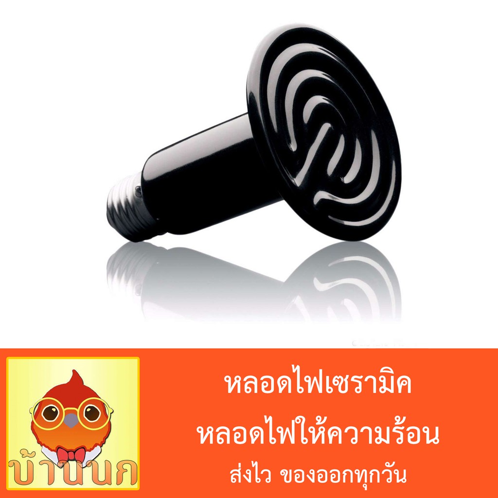 My Image 23