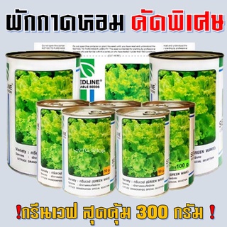 ผักกาดหอมคัดพิเศษ กรีนเวฟ (GREEN WAVE) 50 กรัม 300 กรัม เมล็ดพันธุ์ ผักกาดหอมคัดพิเศษ กรีนเวฟ