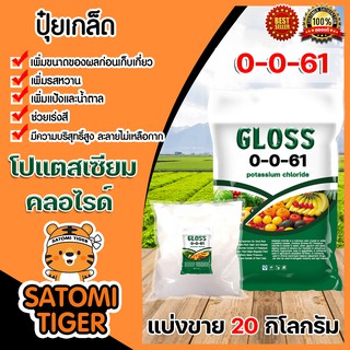 ปุ๋ยเกล็ด 0-0-61 โปแตสเซียมคลอไรด์ (GLOSS) แบ่งขาย แพ็ค 20 กิโลกรัม ปุ๋ยเร่งผล ปุ๋ยไฮโดร ปุ๋ยเกร็ด ปุ๋ยเพิ่มแป้ง ปุ๋ย