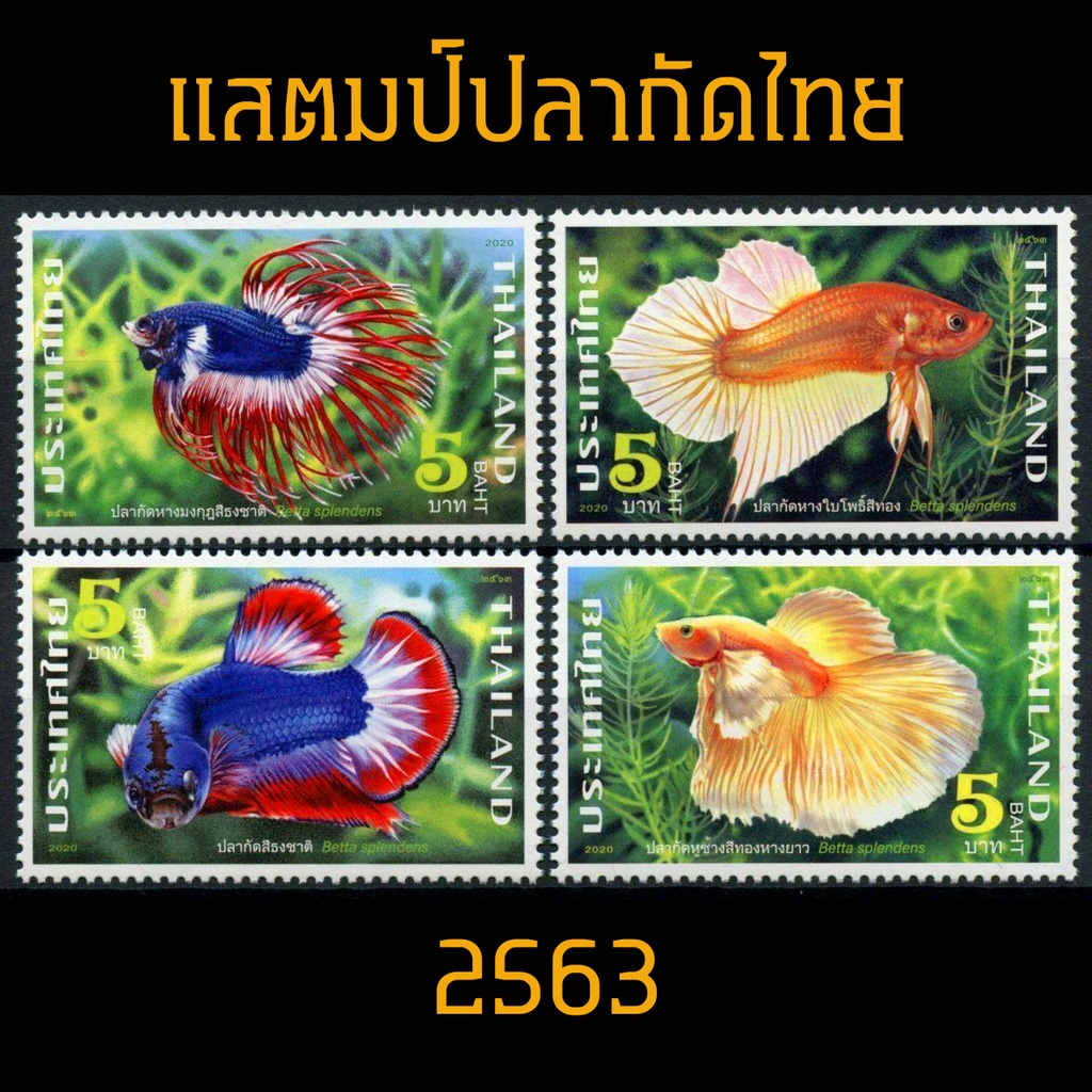 แสตมป์ไทย 2563 ชุดสัตว์น้ำประจำชาติ : ปลากัดไทย (ยังไม่ใช้)