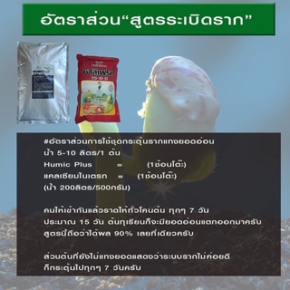 ชุดกระตุ้นรากแตกยอดส่งใบ14วันแตกยอดใหม่รากเดิน