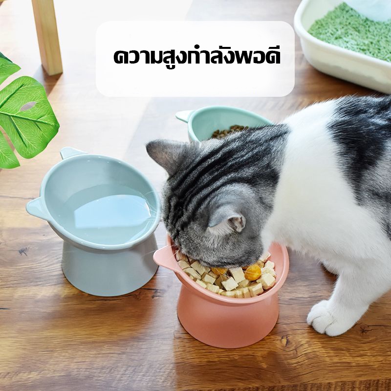SKISOPGO COD ชามอาหารสัตว์ ทรงเอียง อุปกรณ์ให้อาหารสัตว์ - รูปที่ 5