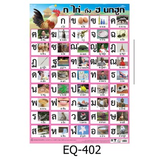 ก-ฮ ภาพจริง EQ-402 สื่อโปสเตอร์ภาพ กระดาษ หุ้มพลาสติก