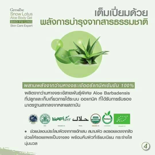 บัวหิมะ ครีมบัวหิมะ น้ำร้อนลวก ไฟไหม้ ความร้อน ว่านหางจรเข้ กิฟฟารีน สโนว์ โลตัส-อโล บอดี้ เจล ทาแผล - รูปที่ 4