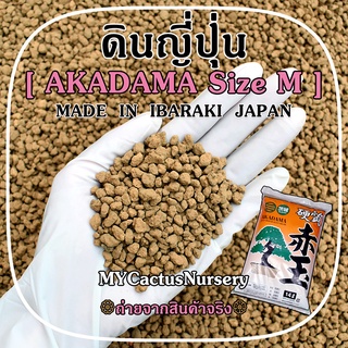 ดินญี่ปุ่น อาคาดามะ Size M (Akadama Soil Made  in  IBARAKI  JAPAN)