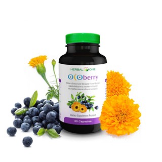 *หมดอายุ01/22 บำรุงสายตา** Herbal one Ocoberry 60 แคปซูล สารสกัดบิลเบอร์รี่ และสารสกัดดอกดาวเรือง บำรุงสายตา ต้อ