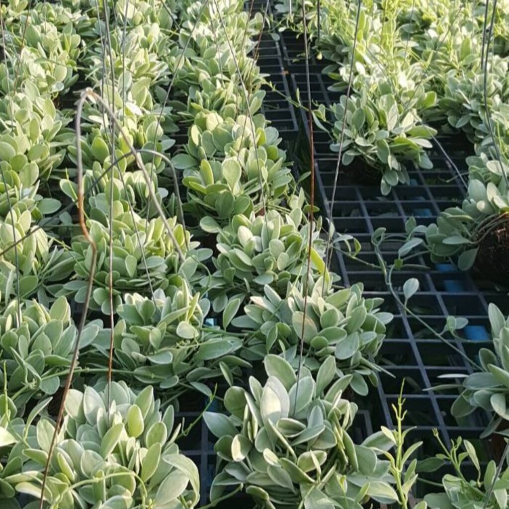 มุมมอง 3