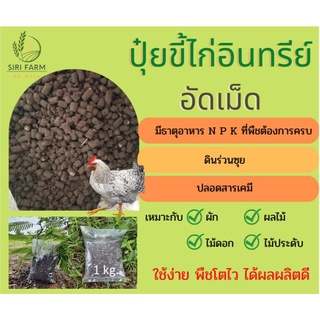 ปุ๋ยขี้ไก่อัดเม็ด อินทรีย์ 100% ผ่านกระบวนการผลิตจากโรงงานที่ได้มาตราฐาน บรรจุ 1 kg