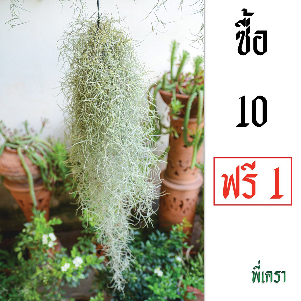 My Image 30