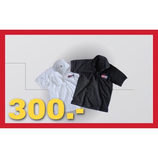 เสื้อโปโล Amsoil Collection (POLO)