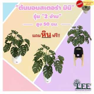 ( สินค้าใหม่ ) ต้นมอนสเตอร่า รุ่น "2 ง่าม มินิ" สูง 50 ซม. ต้นไม้ปลอมตกแต่งบ้าน Leeartplants