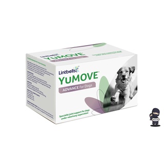 Yumove advance Dog (60-120เม็ด) อาหารเสริมบำรุงข้อ กระดูก ทำจากธรรมชาติ