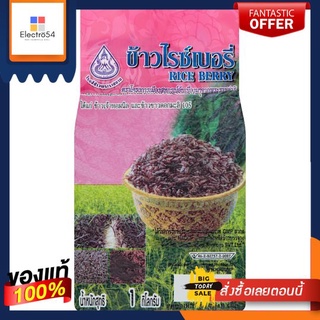 โครงการเมืองสหกรณ์ ข้าวไรซ์เบอรี่ 1 กก.COOPERATIVE PROJECT RICE BERRY 1 KG.