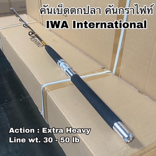 คันเบ็ดตกปลา คันกราไฟท์ คันสปิน เบท IWA International