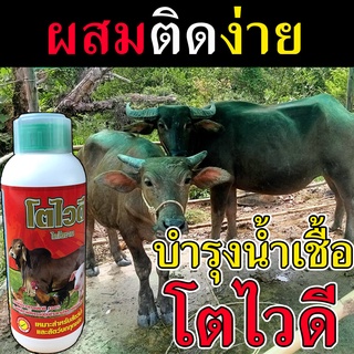 🛒พร้อมส่ง🛒 บํารุงระบบสืบพันธุ์วัว ยาเร่งควายโต 1 ลิตร ยาบํารุงวัวผอม ยาบํารุงวัว ยาบำรุงวัวควาย วิตามินบำรุงวัว