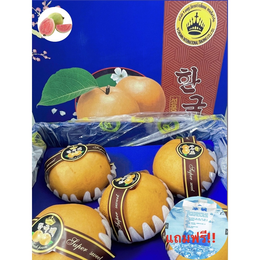 Guava top1สาลี่หิมะ สาลี่เกาหลี (6ลูก/ไซส์L) (CHN)~ลดพิเศษ~หอม หวาน อร่อย ! (Fruitage ผลไม้ต่างประเท