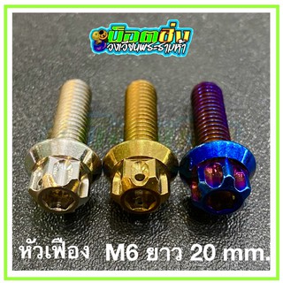 น็อตสแตนเลส หัวเฟือง ขนาดเกลียว m6 ยาว 20 mm.