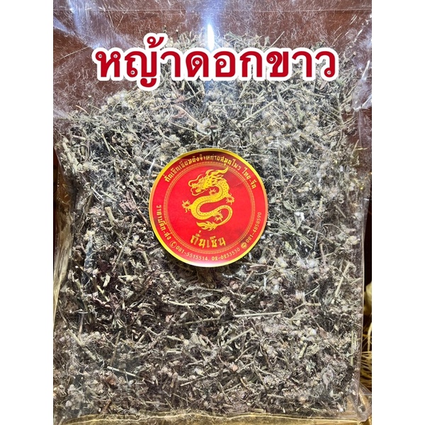หญ้าดอกขาวแห้ง หญ้าดอกขาว