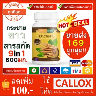 (9in1+ส่งฟรีด่วน)กระชายขาวสกัด600มก. เกรดพรีเมี่ยม แบรนด์กระชายเฮิร์บส์ GRACHAY HERBS