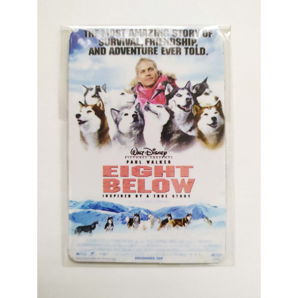 [ของสะสม] แม่เหล็กติดตู้เย็น  Magnet ภาพยนตร์ฮอลลีวู้ด Eight Below จากโรงภาพยนตร์ SF Cinema