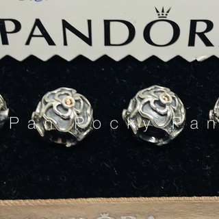 คอลเลคชั่นชาร์มรุ่นเก่า/Vintage Charms