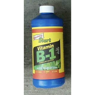 สารเร่งราก B1 อเมริกา ขนาดกลาง 470 มล.