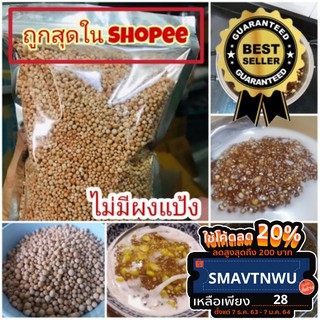 พร้อมส่งทั่วไทย❤️ เม็ดสาคู 500 กรัม เม็ดดั้งเดิม สาคูต้นแท้จากพัทลุง  สาคูออแกนิค ไม่มีผงแป้ง ของกินหายากภาคใต้