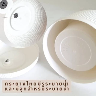 กระถางเบลล่า พร้อมขาตั้งไม้สยา เซตกระถางพร้อมขาตั้ง มินิมอล สีขาว ขนาด 5 7 9 นิ้ว ราคาถูก