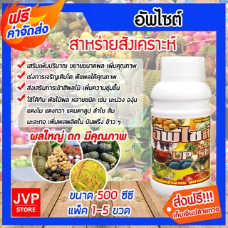 **ส่งฟรี**อัพไซด์ ขนาด 500ซีซี สาหร่ายสังเคราะห์ ขยายขนาดผล เพิ่มน้ำหนัก เพิ่มผลผลิต เพิ่มคุณภาพ สีสด รักษาความสดผลผลิต