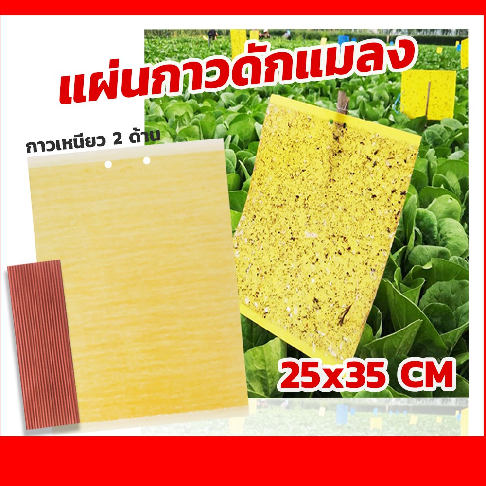 แผ่นกาวดักเเมลง ขนาด 25x20 ซม. (เเพ็ค20ใบ)