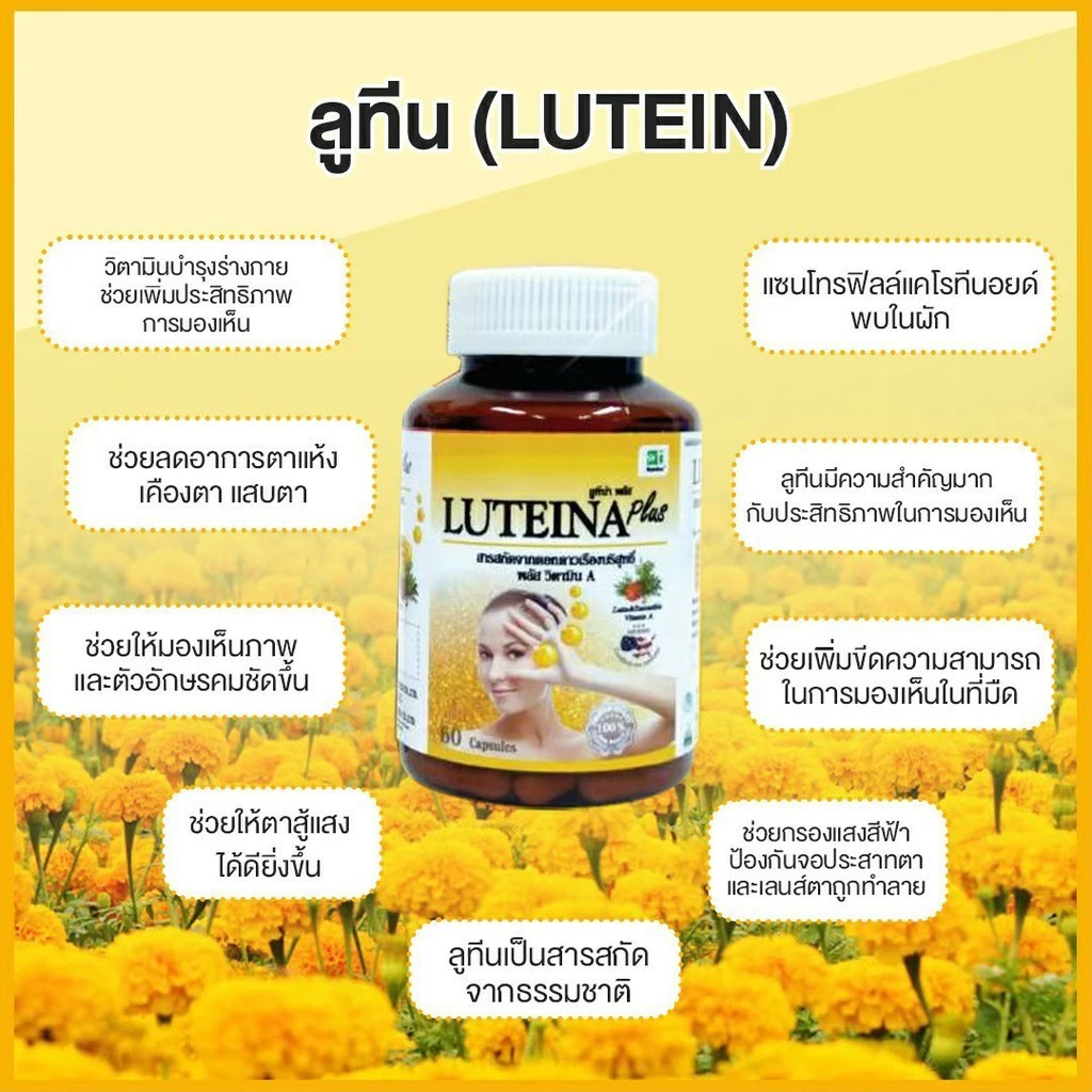 ลูทีน่าพลัส สูตรใหม่ (3 กระปุก) Luteina Plus เพิ่มวิตามินเอ บำรุงดวงตา บำรุงสายตา ฟรีแว่นตากรองแสง จัดส่งฟรี thumbnail 7