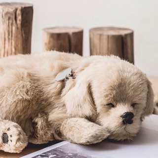 (pre-order) ตุ๊กตาน้องหมาหายใจได้ golden retriever