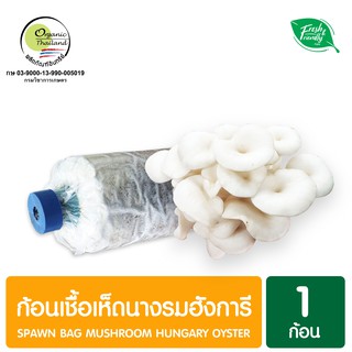 ก้อนเชื้อเห็ดออร์แกนิค Spawn Bag Mushroom