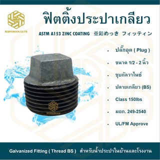 ปลั๊กอุด ประปาเกลียว ขนาด 3/4 นิ้ว  ( PLUG )