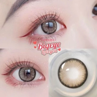 คอนแทคเลนส์ รุ่นตาประกายสวยสุดๆ🌈Apple Bloom🌈 Brown / Gray (Luxzylens) ขนาดกลาง💖