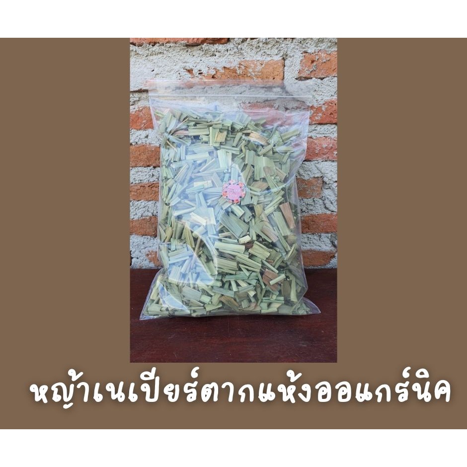 หญ้าเนเปียร์ สับ อบแห้ง แบบบสั้น 100 กรัม ออแกร์นิค สำหรับกระต่าย เต่า หนูแกสบี้