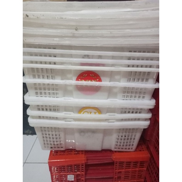 ตะกร้าผลไม้ลําไยมือสอง uk 47 x 35 x 17