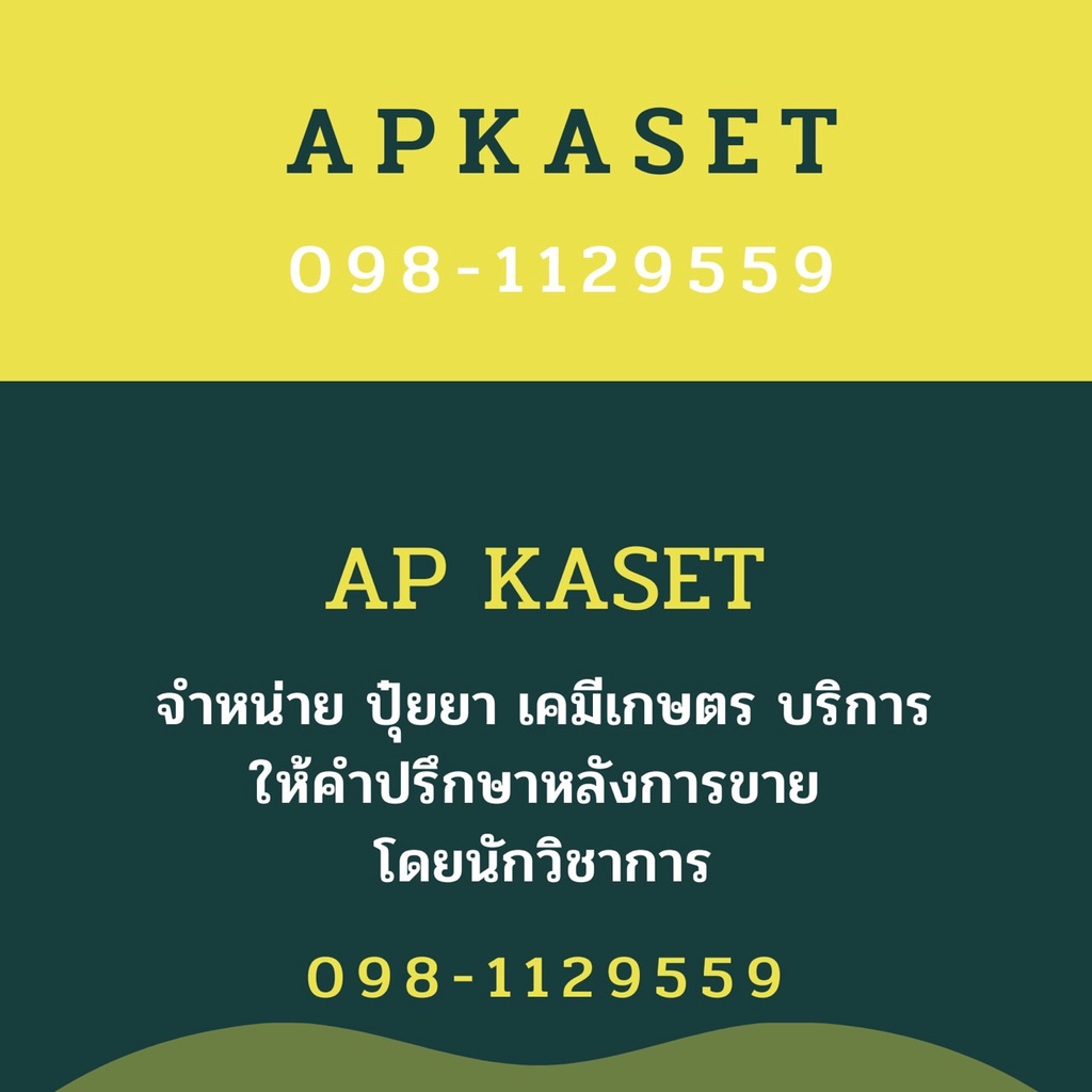กัสโต้ ฮอร์โมนพืช สร้างสมดุลของราก ลำต้น ใบ บำรุงใบเพสลาด รูปที่ 5