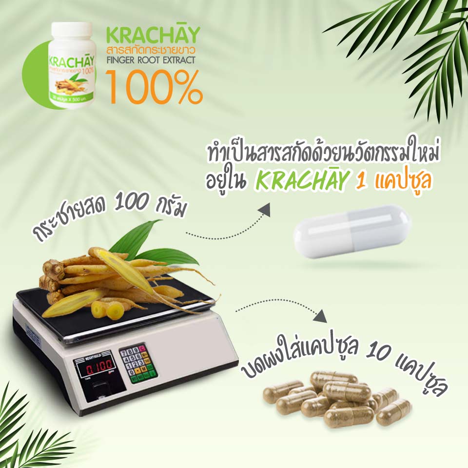 กระชายขาวสกัด ⭕ กระชายสกัดเข้มข้น 100%  เพิ่มภูมิคุ้มกัน แก้กรดไหลย้อน ท้องอืด รูปที่ 2