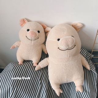 🌟🌠เตรียมจัดส่ง🌟🌠25cm ตุ๊กตาหมู ตุ๊กตาหมูน้อย คุณอู๊ดอี๊ด ตุ๊กตาหมูนุ่มนิ่ม ตุ๊กตาน่ารัก ตุ๊กตาหมูนุ่มนิ่ม ตุ๊กตารับปริญญา ของขวัญวันเกิด