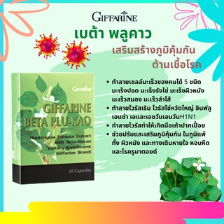 เบต้า พลูคาว เสริมสร้างภูมิคุ้มกัน ต้านเชื้อโรค giffarine